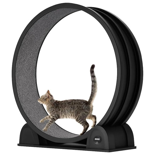 Cat Exercise Wheel for Indoor Cats, ABS Cat Wheel Exerciser Quiet Cats Treadmill with Pedometer, Small Animal Running Wheels