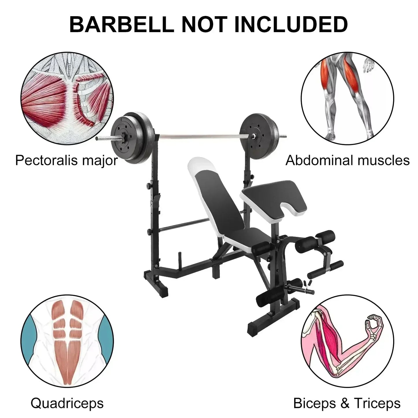 Halterbank - Fitnessbank - Gewichthefbank -Verstelbare - Opvouwbare - Multi Station - Bench Press - voor Home - Gym - 144.78 x 104.14 cm - Zwart