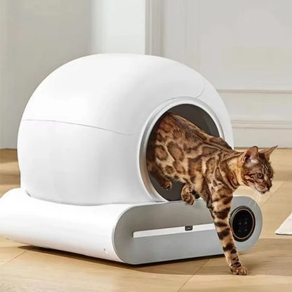 Smart Cat Litter Box Fully Automatic Large Capacity Cat Litter Box Semi-enclosed Smart Cat Toilet APP Remote Control - QUORE