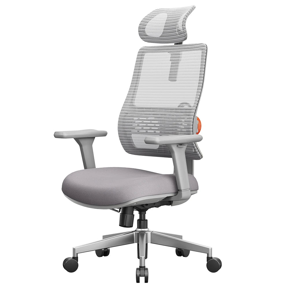 NEWTRAL MAGICH003 Ergonomic Chair, 3 Positions to Lock, Auto-Following Backrest,Adaptive Lower Back Support, 3D Armrest Recliner