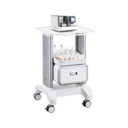 Laboratoriumkar - Wagen - Kar - Roestvrij Staal - Goud 4 Metaal 2 2 - met ABS Materiaal Lab Rolling Cart - voor Lab Kliniek Ziekenhuis Salon