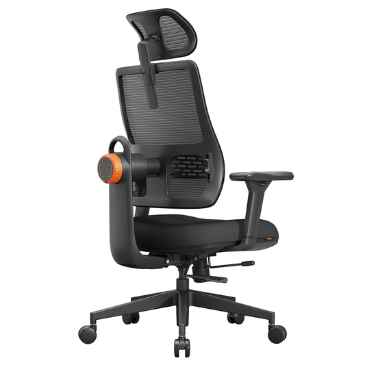 Ergonomische Bureaustoel – Bureaustoel – Werkstoel – Gamestoel – Thuiswerkstoel – Verstelbare Lendensteun – 3D Armleuningen - Zwart