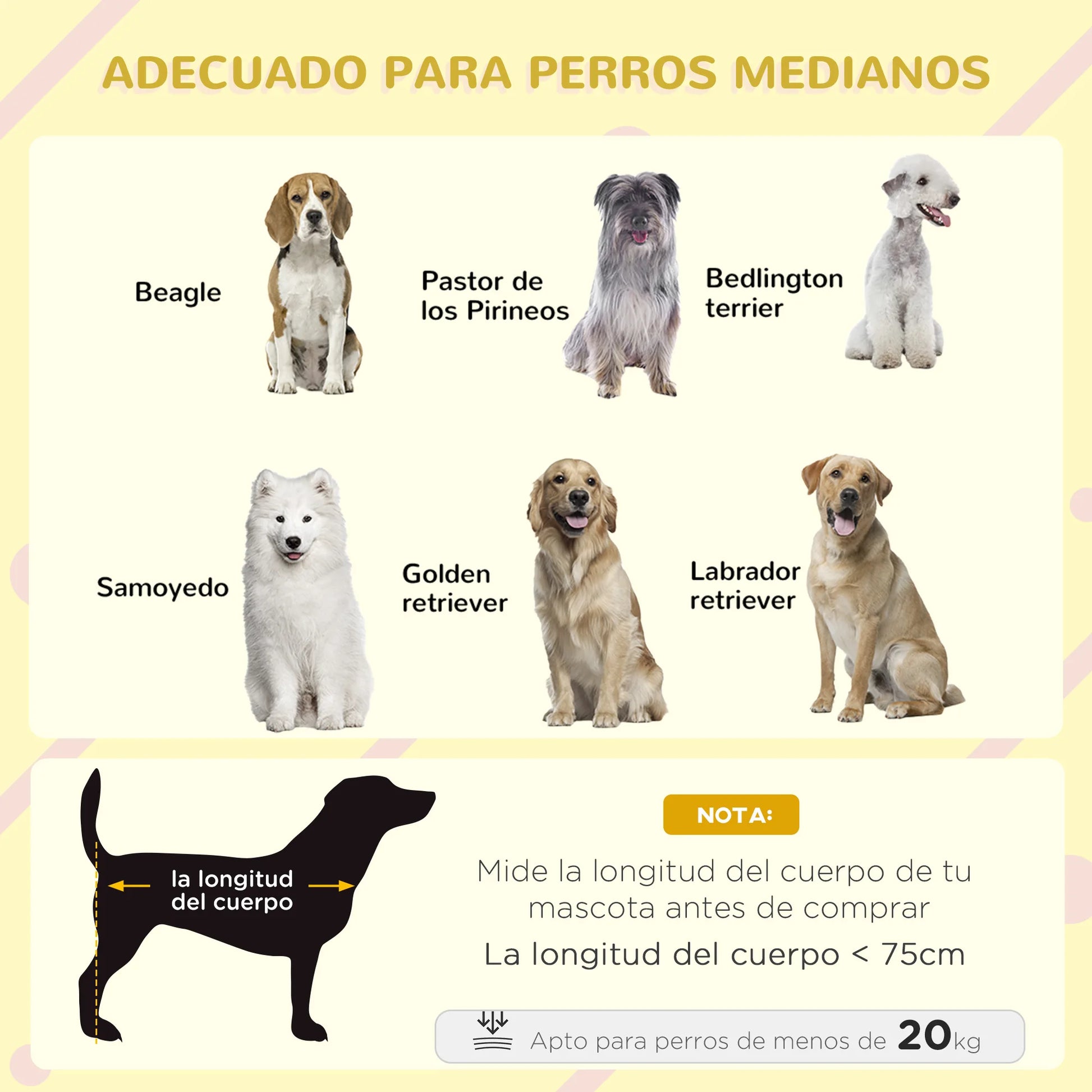 Hondenhok – Hondenhuisje – Buitenhok – Dierenhok – Hondenkennel – Weerbestendig Hout – Inclusief Transparant Raam - QUORE