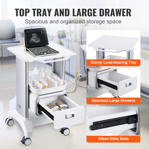 Laboratoriumkar - Wagen - Kar - Roestvrij Staal - Goud 4 Metaal 2 2 - met ABS Materiaal Lab Rolling Cart - voor Lab Kliniek Ziekenhuis Salon