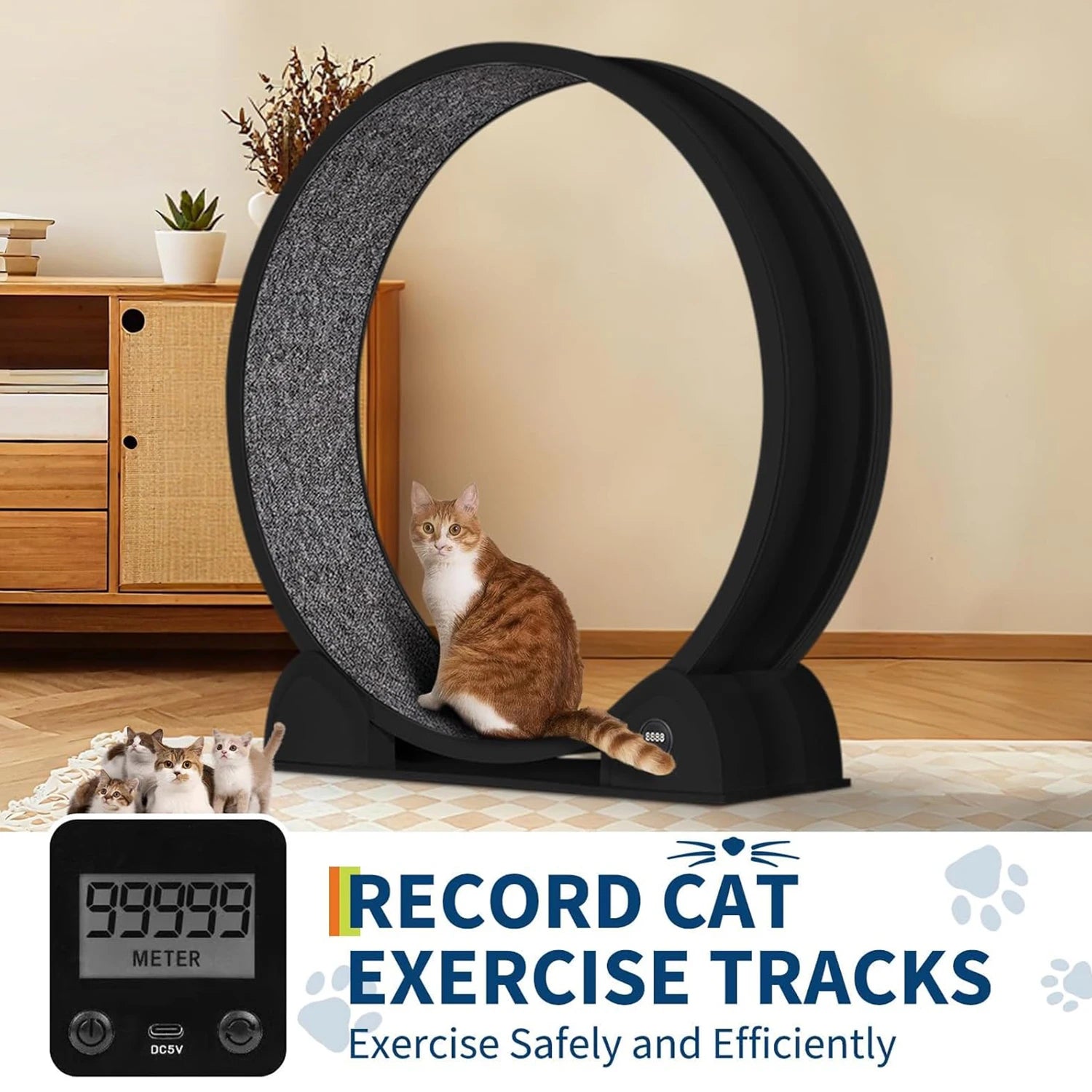 Cat Exercise Wheel for Indoor Cats, ABS Cat Wheel Exerciser Quiet Cats Treadmill with Pedometer, Small Animal Running Wheels - QUORE