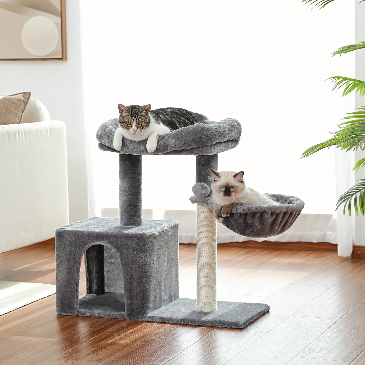 Krabpaal - voor Katten – Kattenboom - met Sisalpalen - Diepe Hangmat - Kattenhuis - Uitkijkplateau – Compact Kattenmeubel - voor Kleine Katten - Kittens - Grijs