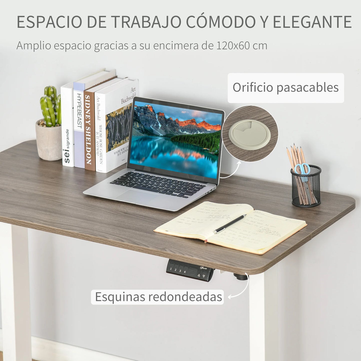 Verstelbare Bureautafel – Elektrisch Bureau – Zit Sta Bureau – Hoogte Verstelbaar – 4 Geheugenstanden – 120 x 60 x 116 cm - QUORE
