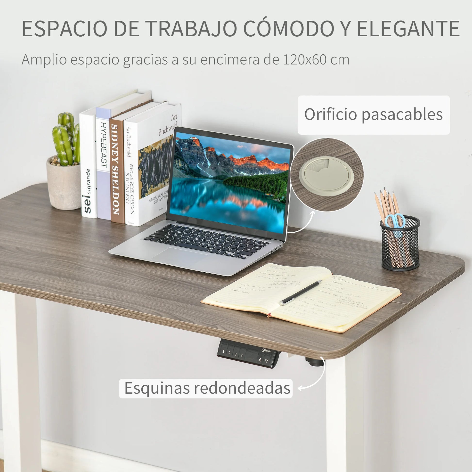 Verstelbare Bureautafel – Elektrisch Bureau – Zit Sta Bureau – Hoogte Verstelbaar – 4 Geheugenstanden – 120 x 60 x 116 cm - QUORE