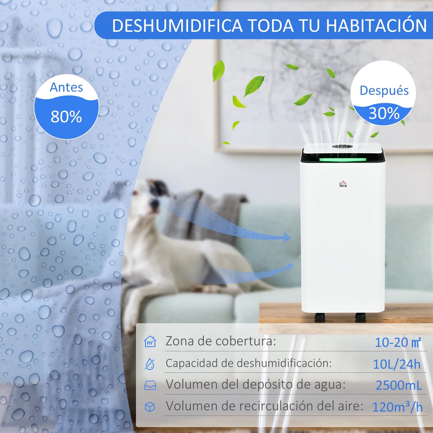 Luchtontvochtiger – Vochtvreter – Ontvochtiger – Luchtontvochtiger Voor Thuis – 10 Liter Capaciteit – Stil Met 42 dB – Actief Koolfilter - QUORE