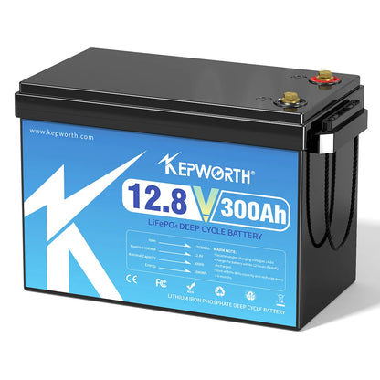 Li-ion Accu – Lithium Accu – LiFePO4 Accu – 12V 300Ah Accu – Deep Cycle Accu – Ingebouwd 200A BMS – Hoge Capaciteit 3840Wh - QUORE