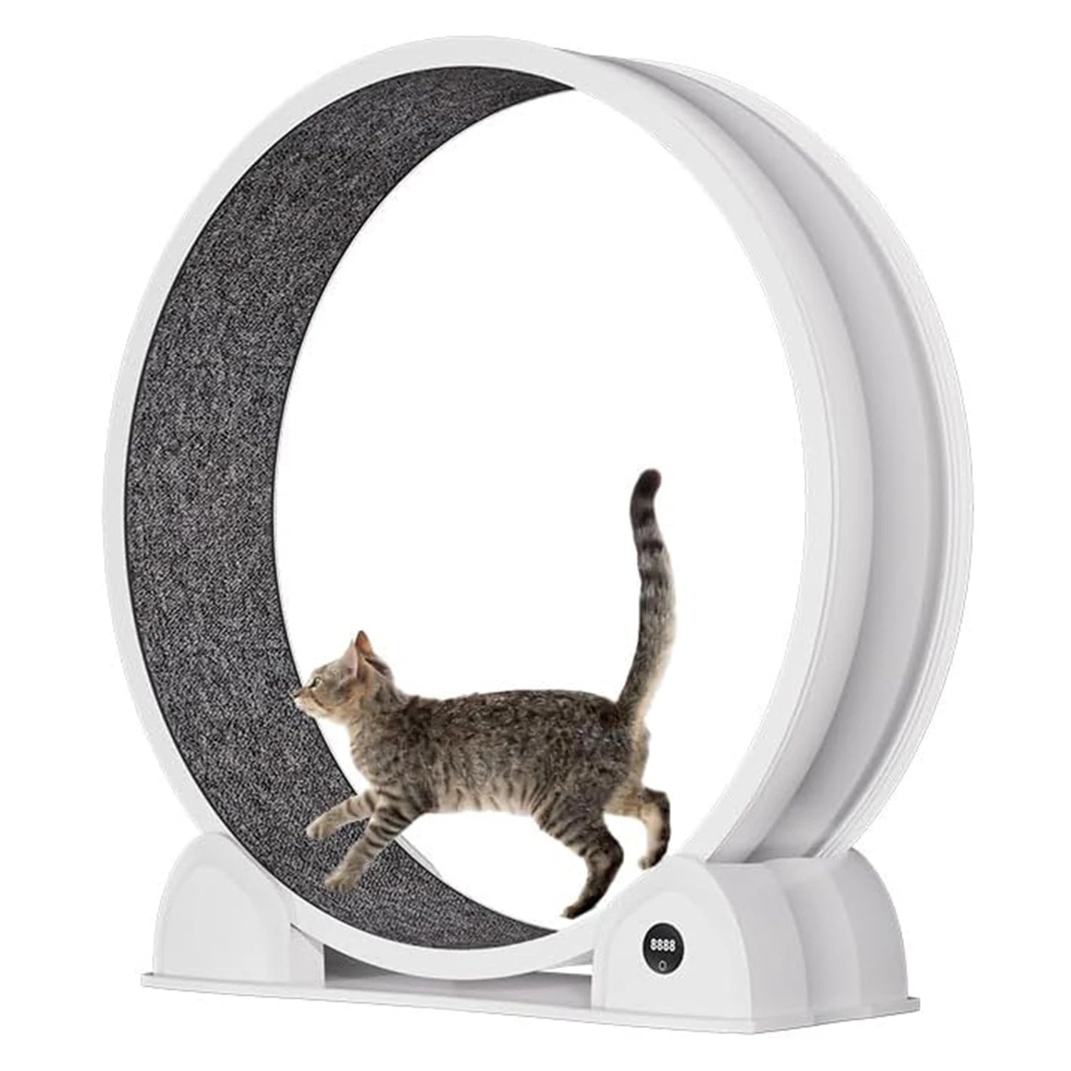 Cat Exercise Wheel for Indoor Cats, ABS Cat Wheel Exerciser Quiet Cats Treadmill with Pedometer, Small Animal Running Wheels - QUORE