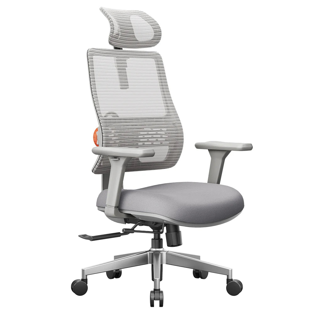 Ergonomische Bureaustoel – Bureaustoel – Werkstoel – Gamestoel – Thuiswerkstoel – Verstelbare Lendensteun – 3D Armleuningen - Grijs