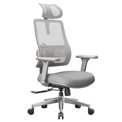 Ergonomische Bureaustoel – Bureaustoel – Werkstoel – Gamestoel – Thuiswerkstoel – Verstelbare Lendensteun – 3D Armleuningen - Grijs