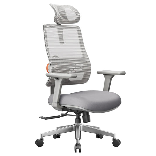 Ergonomische Bureaustoel – Bureaustoel – Werkstoel – Gamestoel – Thuiswerkstoel – Verstelbare Lendensteun – 3D Armleuningen - Grijs