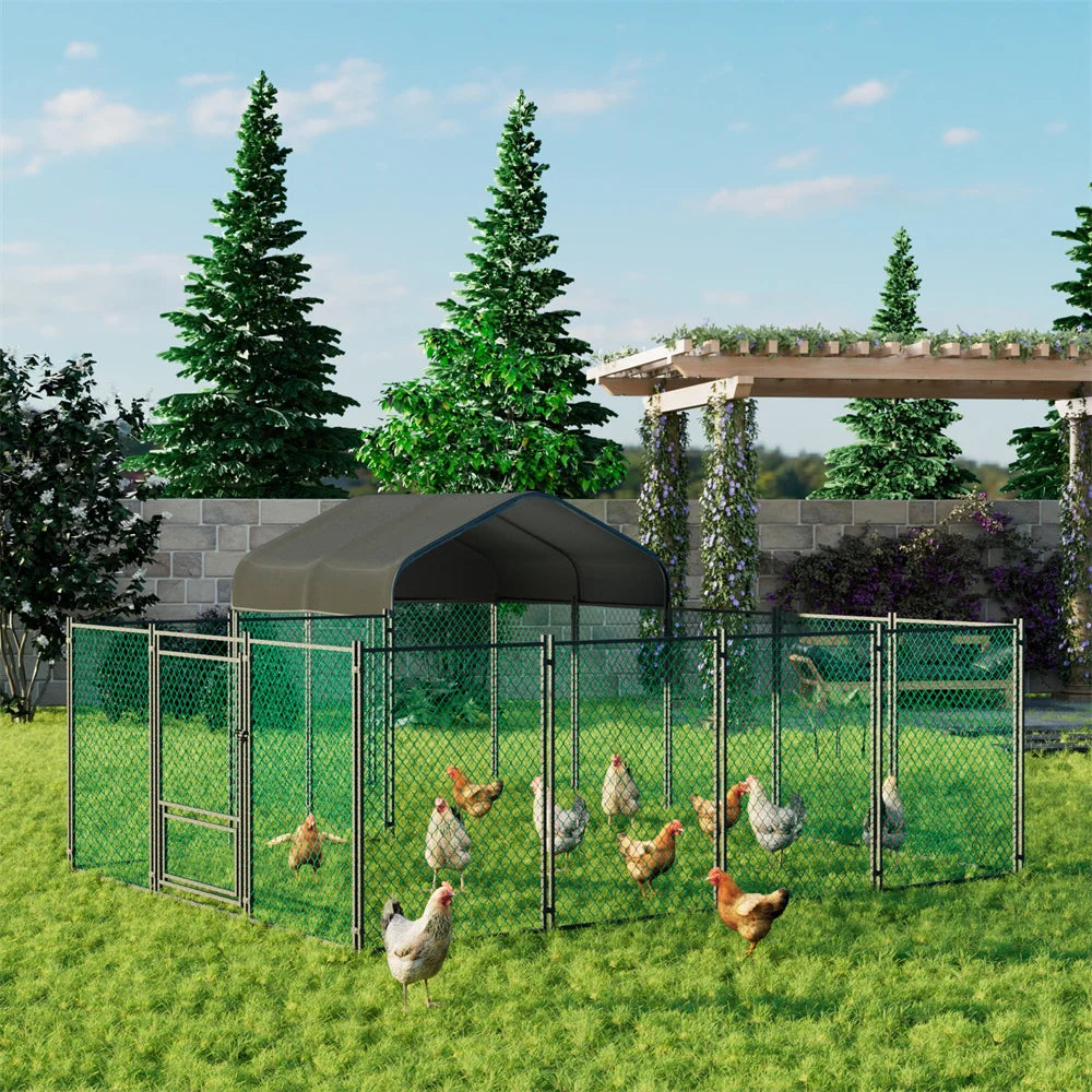 Kippenren – Buitenren – Pluimveerun – Dierenren – Ruime Loopdeur – UV-Bestendig Dak