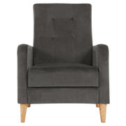 Chair - Armchair - Lounge Chair - Living Room Armchair - Padded Seat - Armrests - High Back.