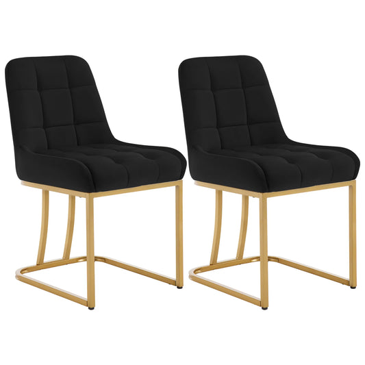 WOLTU 2PCS/Set Dining Chairs Velvet Upholstered Chairs with Metal Frame Dining Room Chairs with Padded Ergonomic for Kitchen