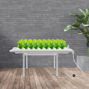 Hydrocultuur - Hydrocultuursysteem - Hydrocultuur - Kweeksysteem - 36 plaatsen 1 laag - Groenteplantenteelt gereedschap beugel - voor tuin- Wit