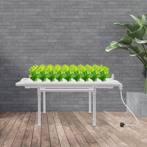 Hydrocultuur - Hydrocultuursysteem - Hydrocultuur - Kweeksysteem - 36 plaatsen 1 laag - Groenteplantenteelt gereedschap beugel - voor tuin- Wit