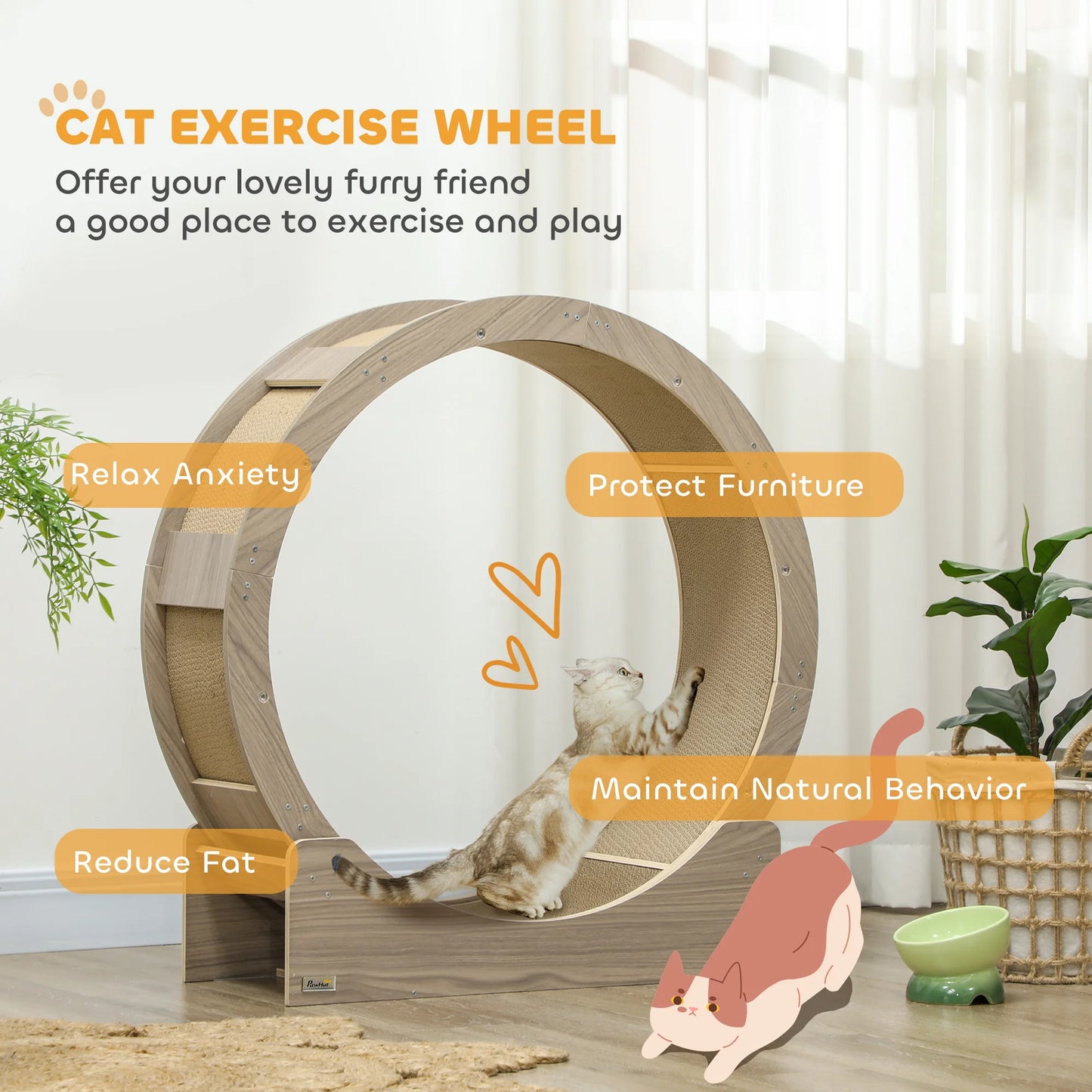 Kattenloopwiel – Kattenrad – Kat Fitness – Cat Wheel – Geschikt Voor Katten Tot 5 Kg – Duurzaam Houten Materiaal – Vervangbaar Krabmatje - 91 x 33.5 x 91 cm - Walnoot - QUORE