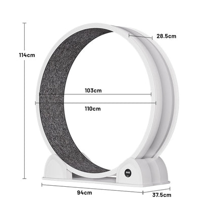 Cat Exercise Wheel for Indoor Cats, ABS Cat Wheel Exerciser Quiet Cats Treadmill with Pedometer, Small Animal Running Wheels - QUORE