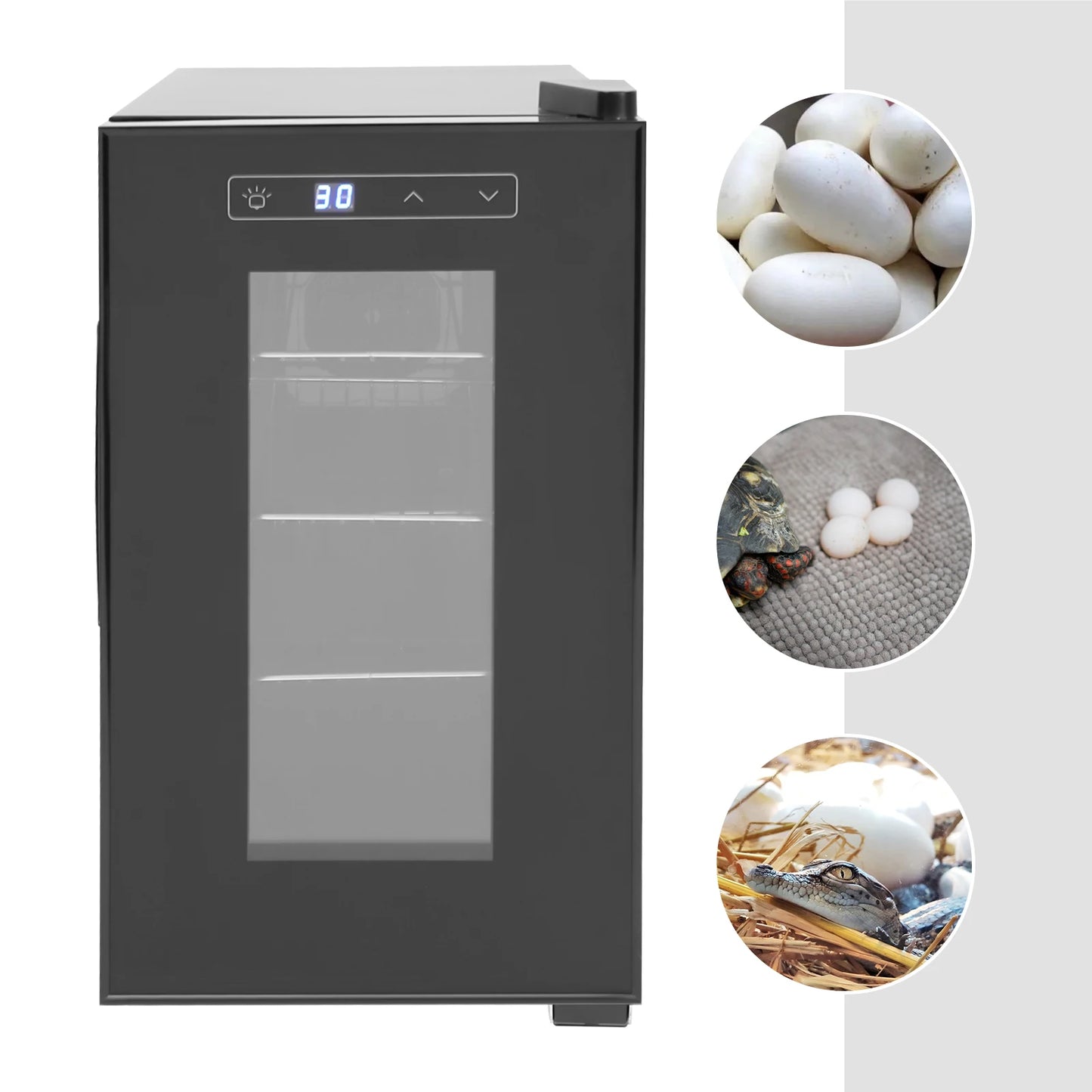 Incubator Reptileneieren – Broedstoof – Eiertemperatuurregelaar – Reptielenbroedmachine – Ei-uitbroeder – Nauwkeurige Temperatuurregeling – 23 Liter Capaciteit