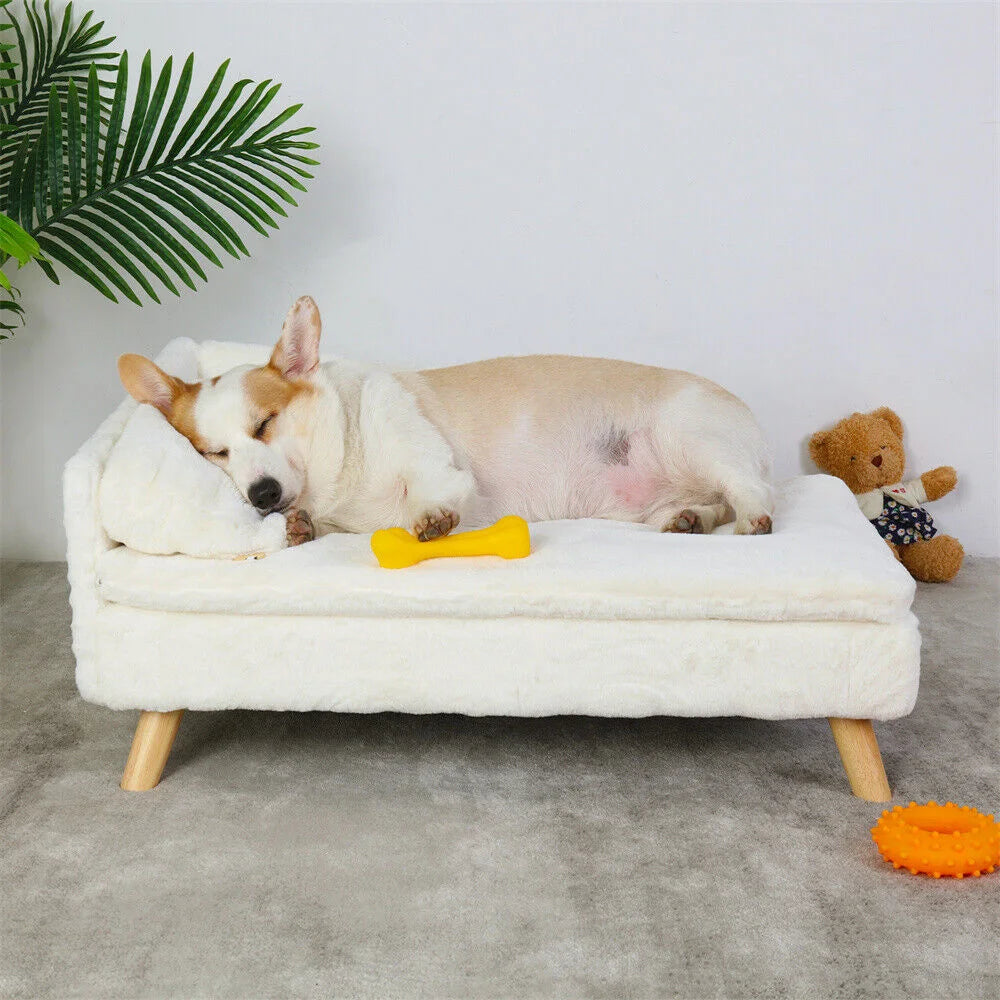 Hondensofa - Hondenbank - Hondenbed - Hondenkussen - Luxe Verhoogde - voor Kleine - Middelgrote Honden - en Katten - Klein