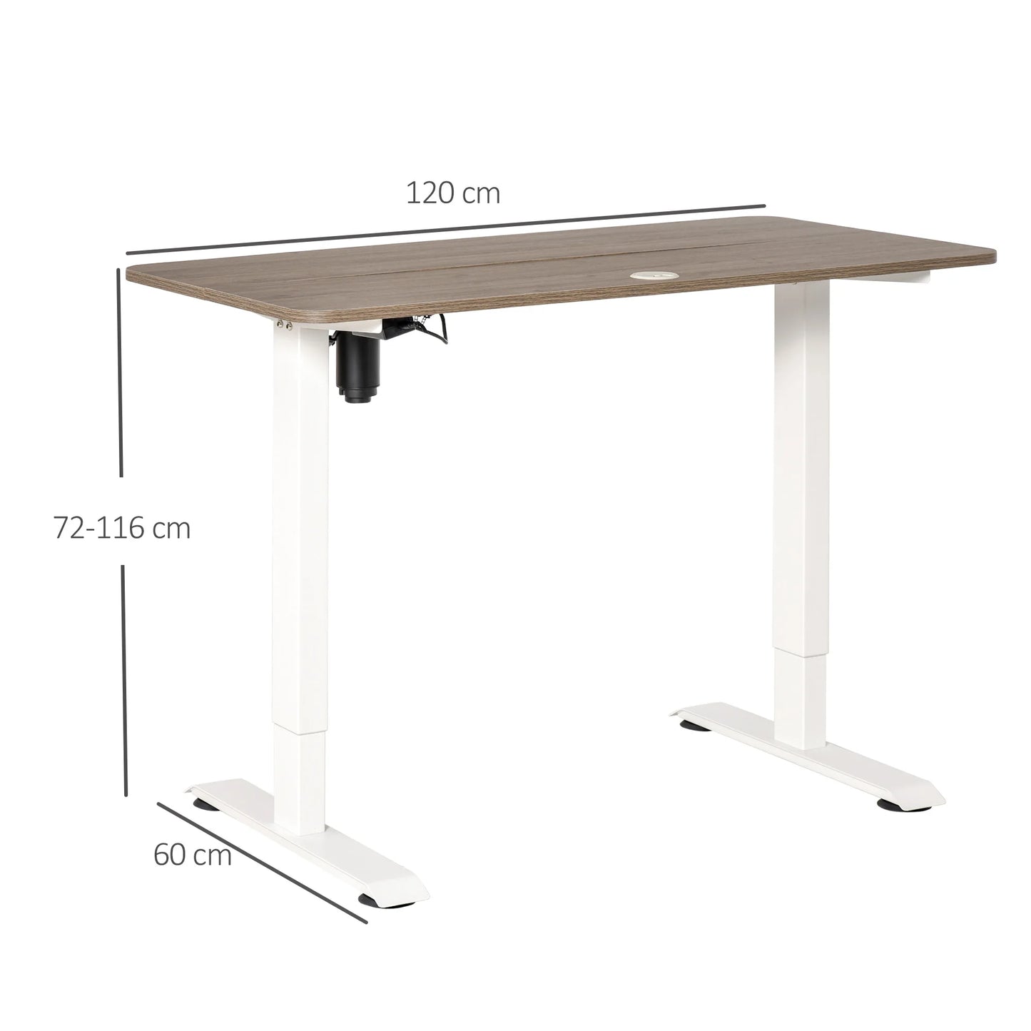 Verstelbare Bureautafel – Elektrisch Bureau – Zit Sta Bureau – Hoogte Verstelbaar – 4 Geheugenstanden – 120 x 60 x 116 cm - QUORE