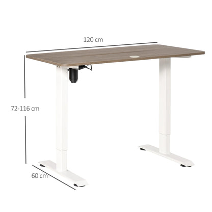 Verstelbare Bureautafel – Elektrisch Bureau – Zit Sta Bureau – Hoogte Verstelbaar – 4 Geheugenstanden – 120 x 60 x 116 cm - QUORE