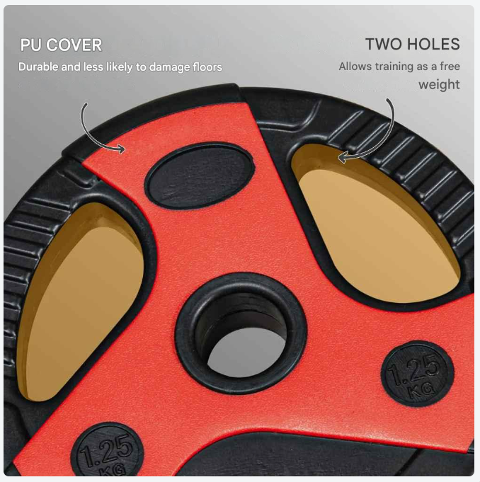Halterset - Verstelbare - Halterstang - 20 kg Gewichtset - 1.25 kg - 2.5 kg - 5 kg Schijven - Voor Krachttraining -  en Fitness - Duurzame Gewichtsplaten - QUORE