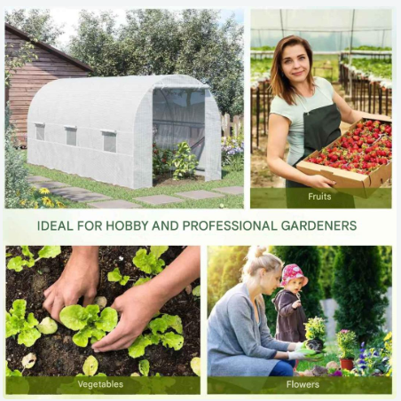 Kas – Kasje – Plantenkas – Broeikas – Ruim Metalen Frame – UV-Bestendige PE-Folie – Ventilatieramen