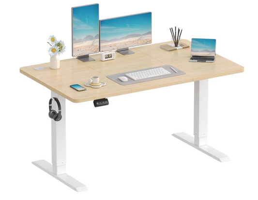 Elektrisch Verstelbaar Bureau – Zit-Sta Bureau – Computertafel – Werktafel – Studie Bureau – 120x60 cm – Met Geheugenfunctie – Stil Motorysteem