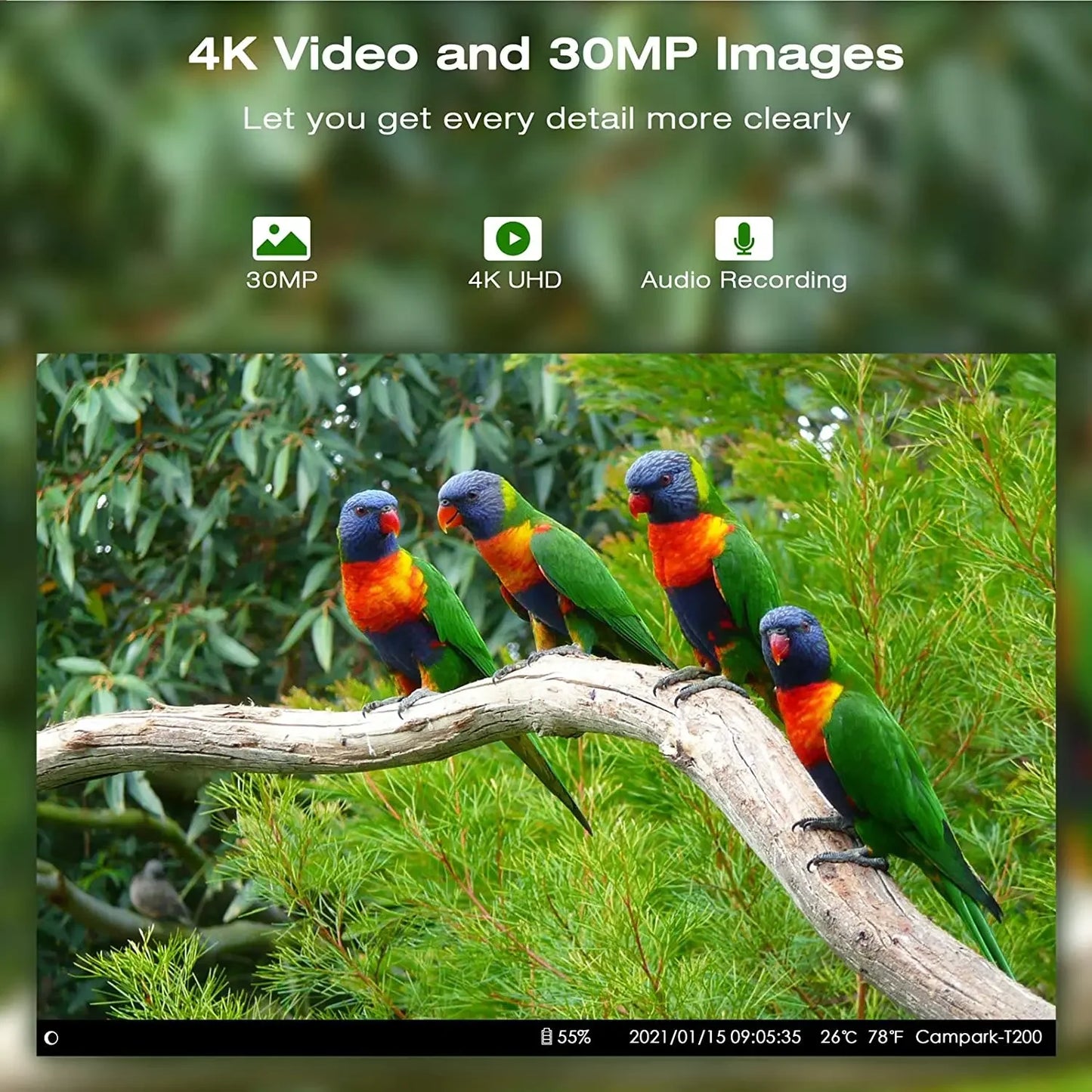 Wildcamera – Trail Camera – Jachtcamera – Wildlife Camera – Buitencamera – 4G Live View – 36MP 4K Ultra HD - 256GB