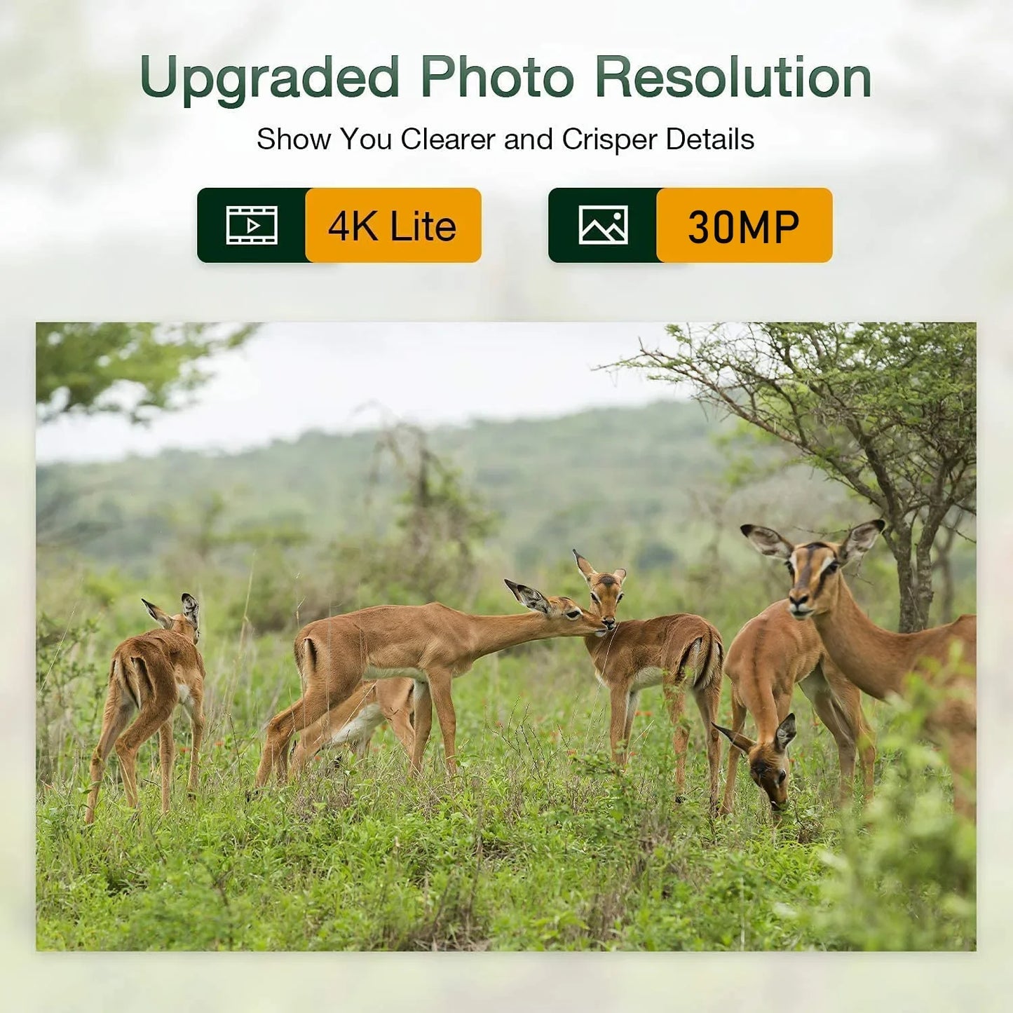 4G Trail Camera – Jachtcamera – Wildcamera – Beveiligingscamera – Fotoval – 4K Video Opname – Infrarood Nachtzicht - Alleen Wildcamera