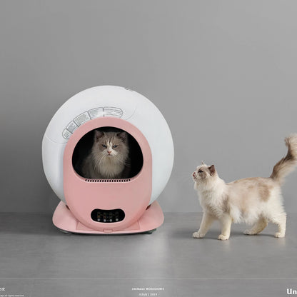 Kattenbak – Automatische Kattenbak – Zelfreinigende Kattenbak – Elektrische Kattenbak – Kattenbak Met App – 6L Afvalcontainer – Laag Instapniveau