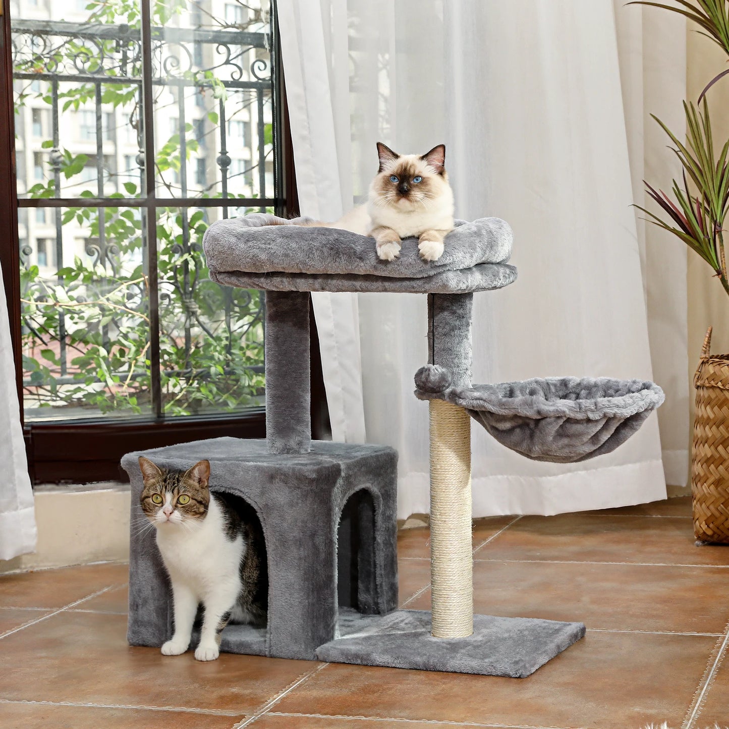 Krabpaal - voor Katten – Kattenboom - met Sisalpalen - Diepe Hangmat - Kattenhuis - Uitkijkplateau – Compact Kattenmeubel - voor Kleine Katten - Kittens - Grijs