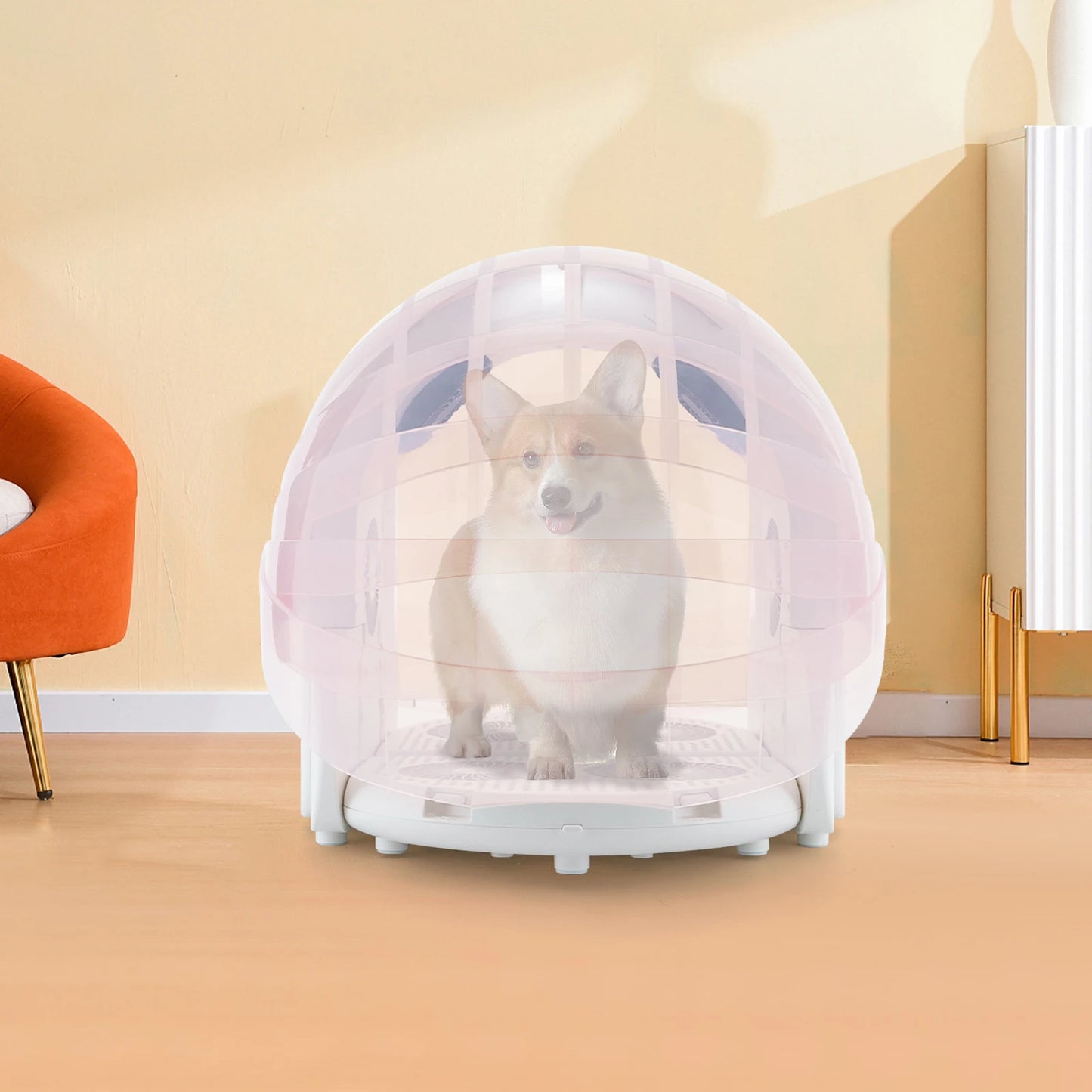 Droogbox Huisdier – Huisdierdroger – Dierenföhn – Sneldroger – Kleine En Middelgrote Huisdieren – 360° Luchtstroom – Instelbare Temperatuur
