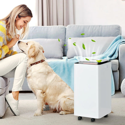 Luchtontvochtiger – Vochtvreter – Ontvochtiger – Luftontvochtiger – Air Dehumidifier – 12L Capaciteit Per Dag – Stil Met LED-Display