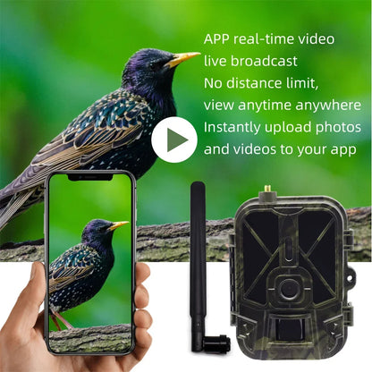 Wildcamera – Trailcamera – Jachtcamera – Wildlife Camera – Buitencamera – 4G Verbinding – 4K Video & 30MP Foto’s