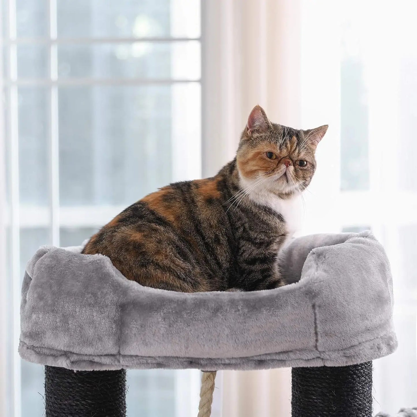 Krabpaal - voor Grote Katten - Kattenpaal - met Hangmat - 141 cm - Meerdere Verdiepingen - Stabiele Basis Cave - Krabplank - Dikke Sisal Kolommen - Arbre a Chat - Hoge Stabiliteit - Zachte Pluche Kussens - Grijs - QUORE