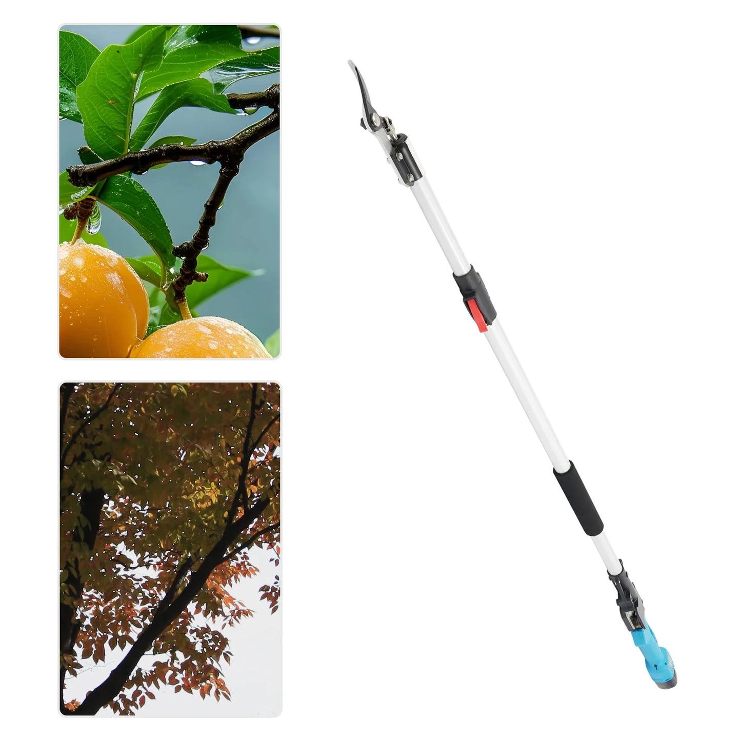 Elektrische Snoeischaar – Snoeigereedschap – Takkenknipper – Tuinschaar – Lithium Snoeischaar – Telescopische Steel 1,44-2m – SK5 Stalen Bladen 0-25mm – Blauw - QUORE