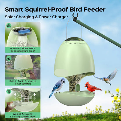 Vogeldrinksysteem – Vogelvoederhuis – Vogelvoederautomaat – Vogelfeeder – Vogelvoederplek – Anti-Eekhoorn Mechanisme – Droogsysteem Voor Vers Vogelzaad