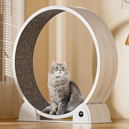 Cat Exercise Wheel for Indoor Cats, ABS Cat Wheel Exerciser Quiet Cats Treadmill with Pedometer, Small Animal Running Wheels