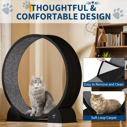 Cat Exercise Wheel for Indoor Cats, ABS Cat Wheel Exerciser Quiet Cats Treadmill with Pedometer, Small Animal Running Wheels