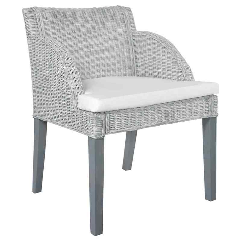 2pcs Modern Gray Rattan Dining Chairs with Cushioned Seats - Sturdy Hardwood Frame & Wipeable Fabric, Solid Back Support - Indoor/Outdoor Use for Kitchen, Patio, Dining Room - Easy-Clean Contemporary Design (No Batteries/Elec