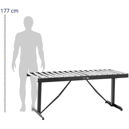 Rollenbaan – Rollenbaan Tafel – Transportbaan – Conveyor – Verstelbare Hoogte – Draagvermogen 200 Kg – 17 Rollers – Lengte 178 Cm