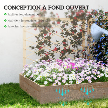 Bloembak – Plantenbak – Tuinbak – Plantenbak Met Klimrek – Bloembak Hout – Verhoogd Tuinbed – Natuurlijk Gelakt Dennenhout – 222x114x109 cm