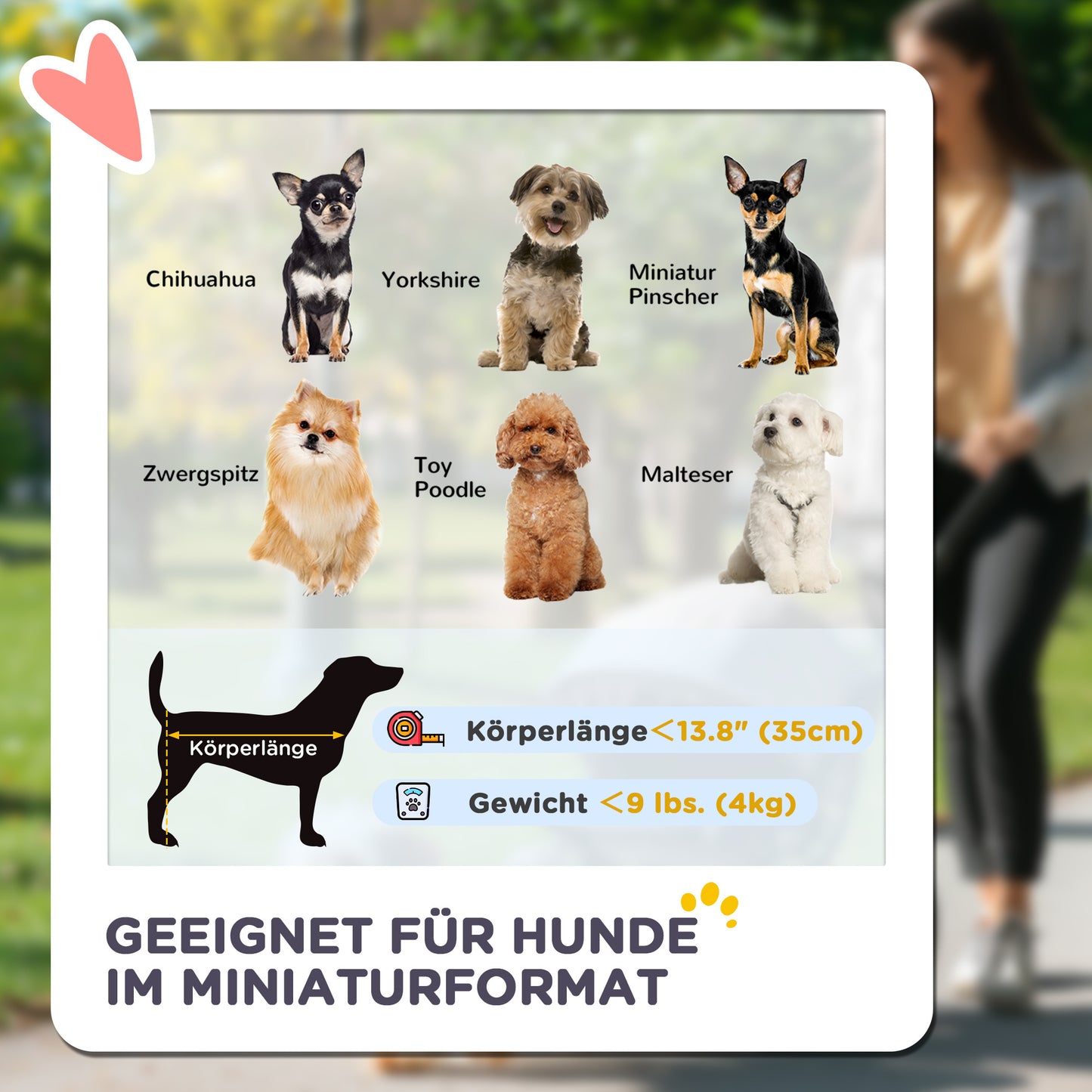 Huisdierrenwagen – Dierenwagen – Wandelwagen – Draagmand – Transportkar – Lichtgrijs – 3-in-1 Inklapbaar Ontwerp – Afneembare Regenhoes