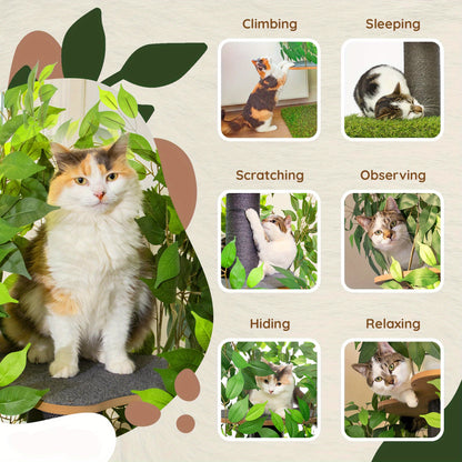 Krabpaal – Kattenboom – Kattenhuis – Kattentoren – Krabmeubel – Multi-level Design – Duurzaam Vezelplaat – Natuurinspiratie Groen