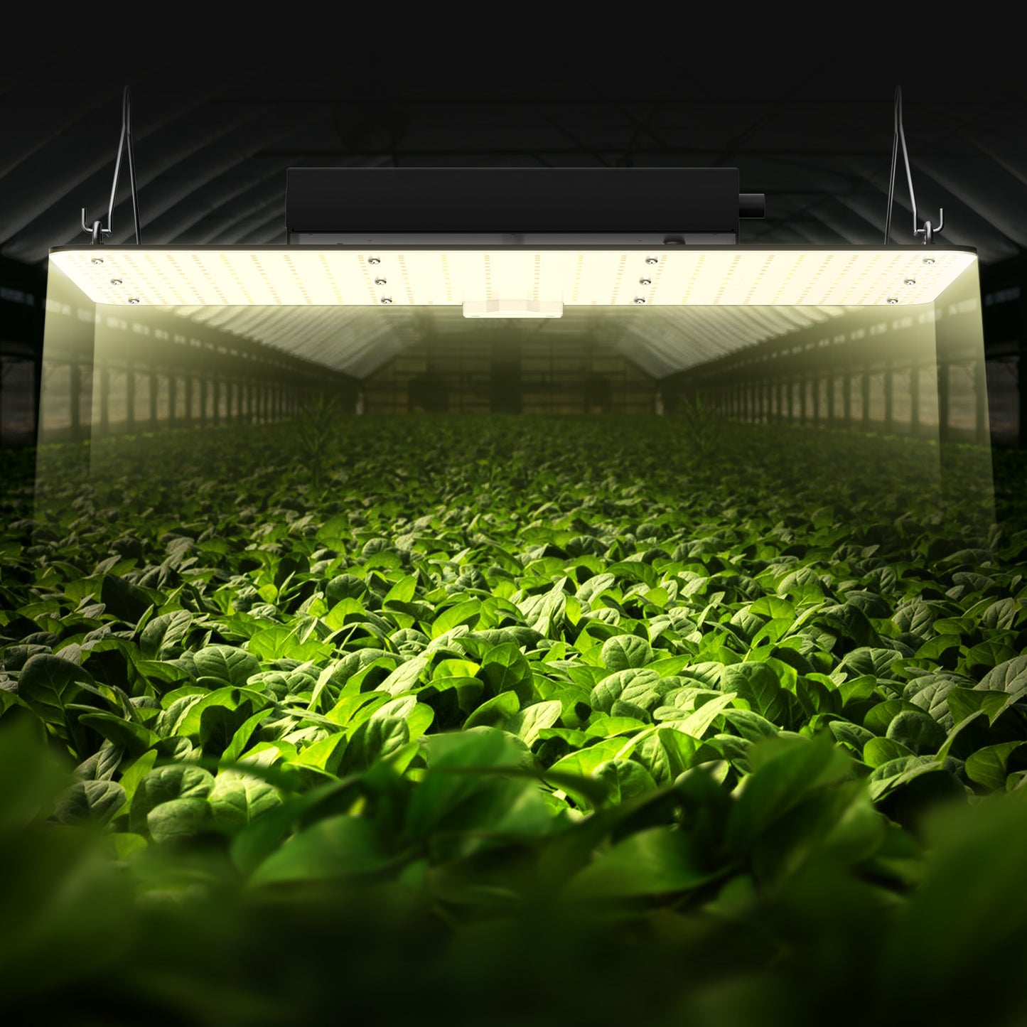 LED Kweeklamp – Groeilamp – Bloeilamp – Plantenlamp – Grow Light – 200W Full Spectrum – Dimbaar – Waterdicht – Lange Levensduur